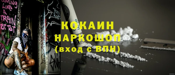 прущие грибы Каменск-Шахтинский