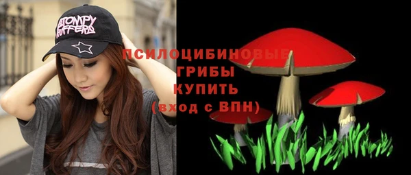 прущие грибы Каменск-Шахтинский