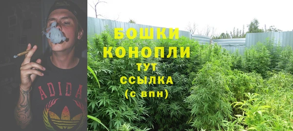 мдпв Инсар