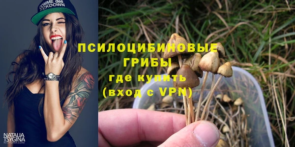 мдпв Инсар