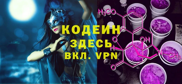 мдпв Инсар