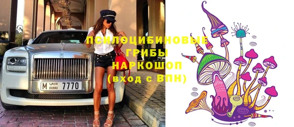 прущие грибы Каменск-Шахтинский