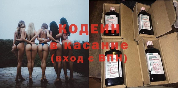 мдпв Инсар