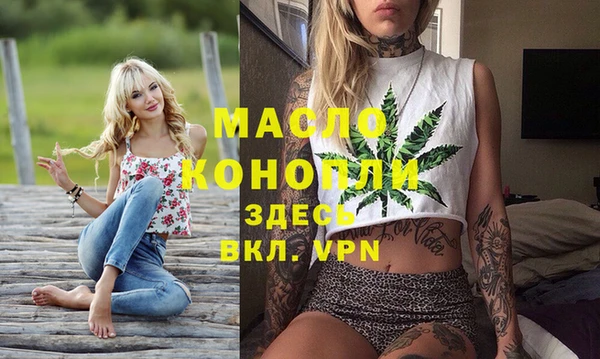 мдпв Инсар