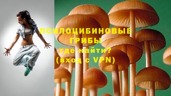 мяу мяу мука Каменка