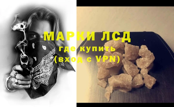 мдпв Инсар