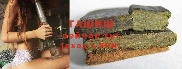 прущие грибы Каменск-Шахтинский